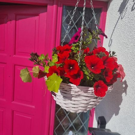 The Pink Door Apartment Killala Екстериор снимка