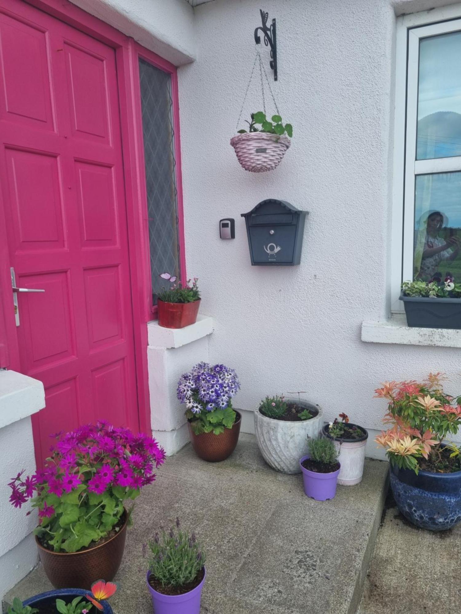The Pink Door Apartment Killala Екстериор снимка