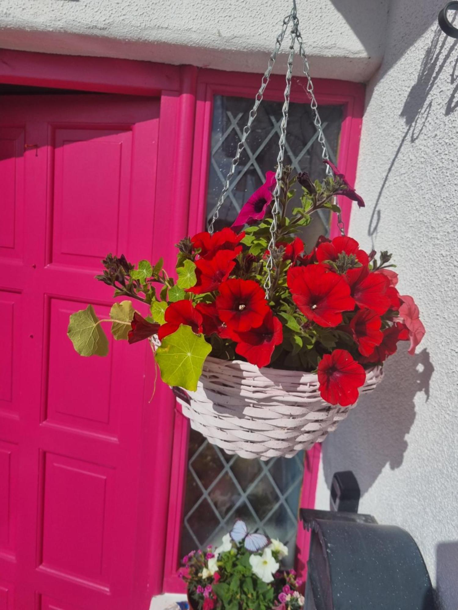 The Pink Door Apartment Killala Екстериор снимка